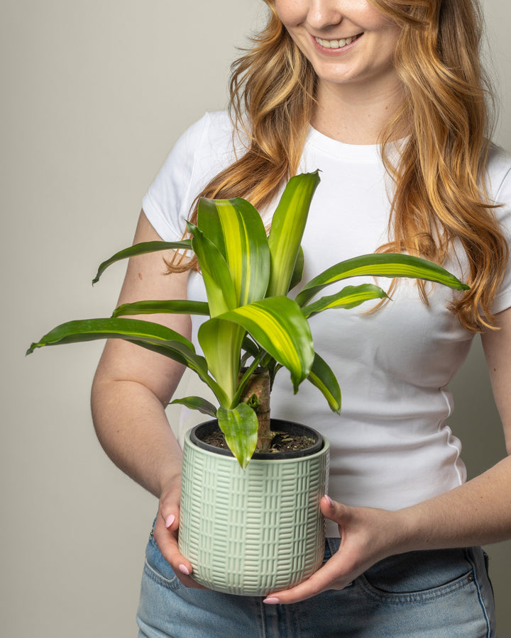 Meaningful Plants